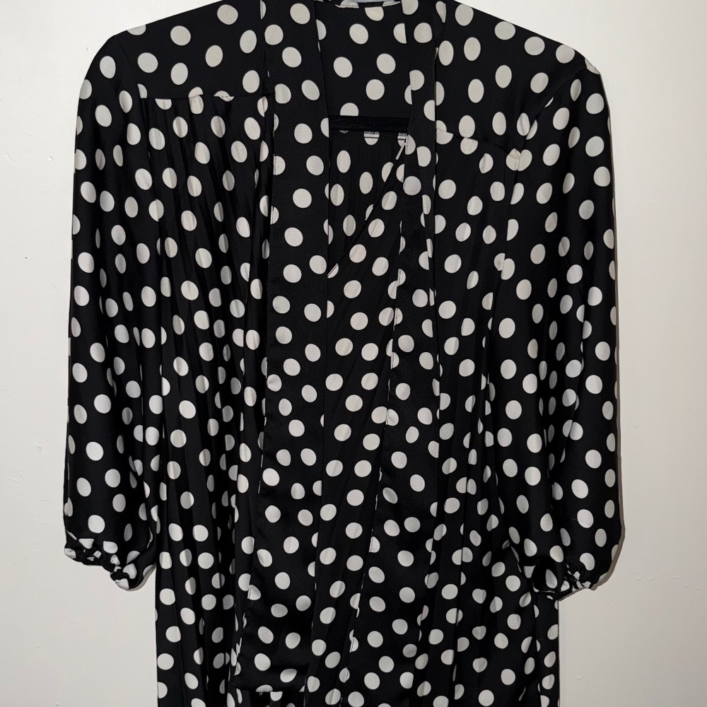 Zara Polka dot dress